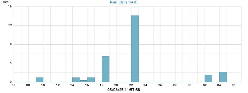 rain